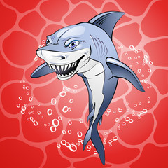 Cartoon shark over red water background