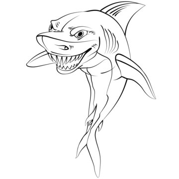 Cartoon shark . Drawing style black on white.
