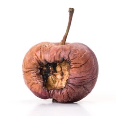 Old brown and rotten apple on white background