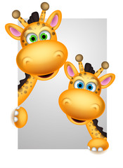 Naklejka premium couple giraffe cartoon posing