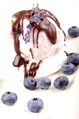 vanilla ice cream with blueberry