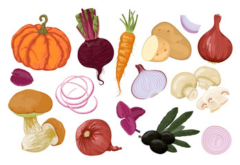 Hand drawn vegetables. Orange and vinous. Vector.