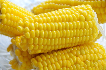 トウモロコシ