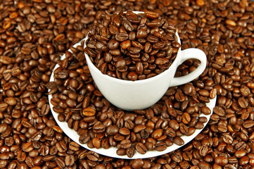 Coffee cup on a dish and coffee beans
