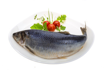 Marinated herring with herbs