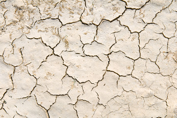 drought ground texture
