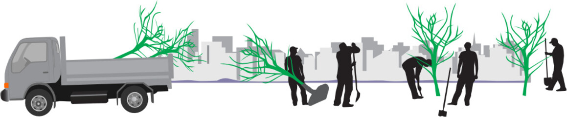 ARBRES EN PLANTATION