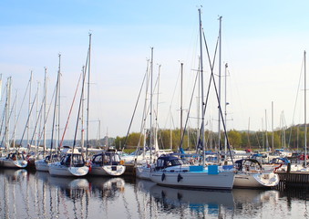 Fototapeta premium Yacht harbor in east Denamrk with forest in background