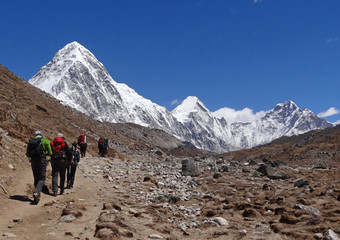 Trekking dans l'Himalaya, Pumori (7161 m) -  Népal