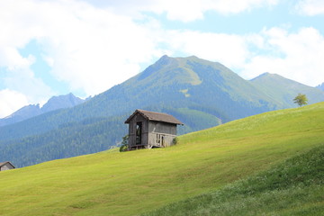 Single shelter in hay field in the Alps