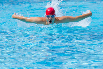Butterfly swimming, copy space © TeamDF