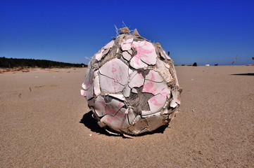 Il palone abbandonato sulla spiaggia