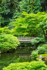 Obraz premium Beautiful Japanese Garden