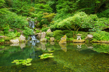 Plakaty  Piękny ogród japoński