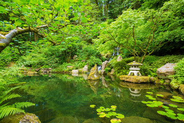 Beautiful Japanese Garden