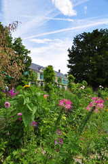 Fototapeta na wymiar Garden of Claude Monet w Giverny, Francja