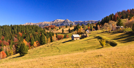 Mountain autumn panorama landscape with colorful forest