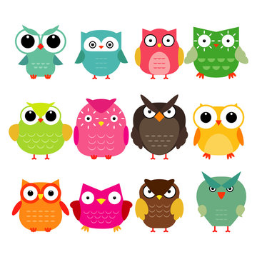 Vector owls set