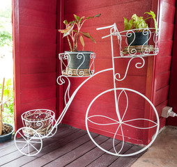 Decorative metal bicycle painted white with pots of plant