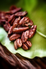 pecan nut