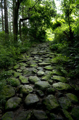 箱根の旧街道石畳