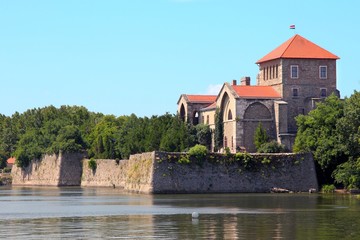 Fototapeta na wymiar Castle in Tata, Hungary in a sunny summer day