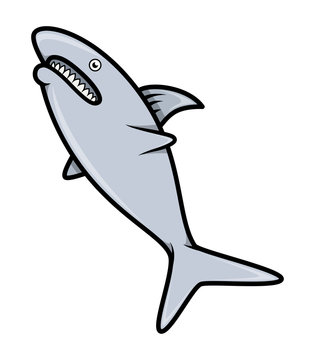 Shark - Vector Cartoon Illustration