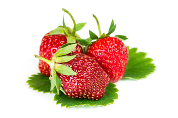 Three fresh ripe strawberries
