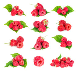 Set of raspberry