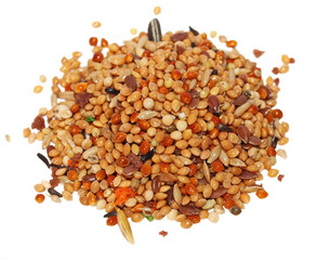 pile seeds and fruits for birds. complete food for budgies