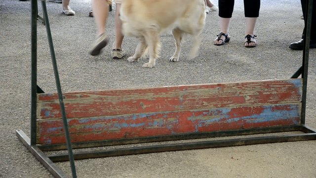 55287183