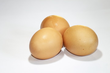 chicken eggs