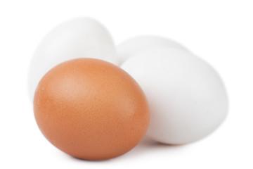 Eggs