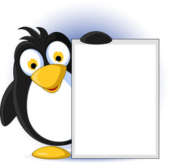 cute babay penguin cartoon holding blank sign