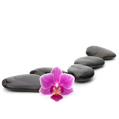 Obraz na płótnie Canvas Zen pebbles path. Spa and healthcare concept.