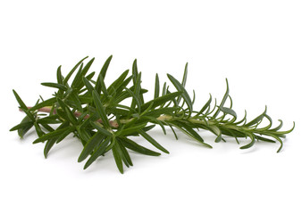 Sweet rosemary leaves