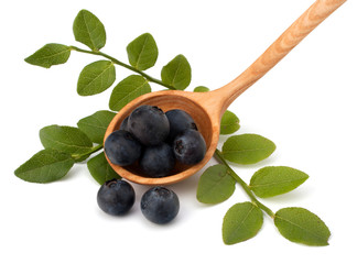 Blue bilberry or whortleberry