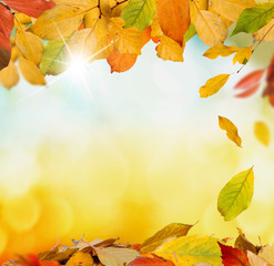 autumn background