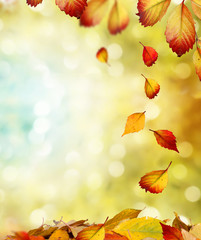 autumn background