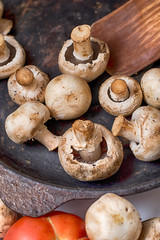 Mushrooms and fresh vegetables on the rusty pan