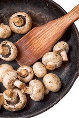 Mushrooms and fresh vegetables on the rusty pan