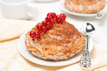 portioned cottage cheese cake with cinnamon, close-up