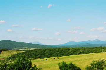 Fototapeta premium Mountains landscape