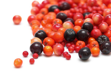 berries isolated on white