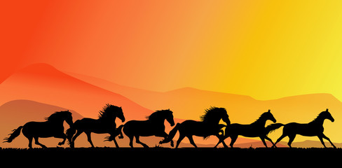 Horses Running & Beauty of Sunset