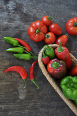 Erntezeit - Paprika und Tomaten