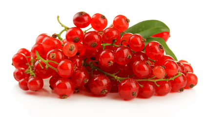 Red currant isolated on white