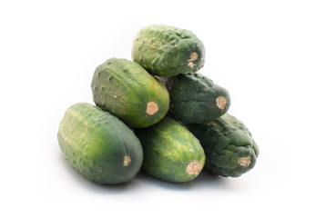 Fresh cucumbers on isolated white background