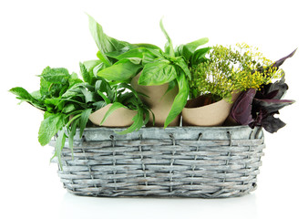 Naklejka premium Fresh herbs in basket, isolated on white