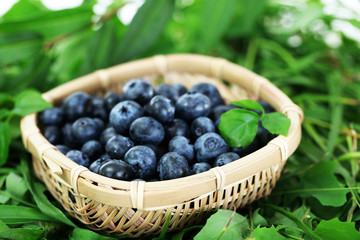 Blueberries in wooden basket on grass